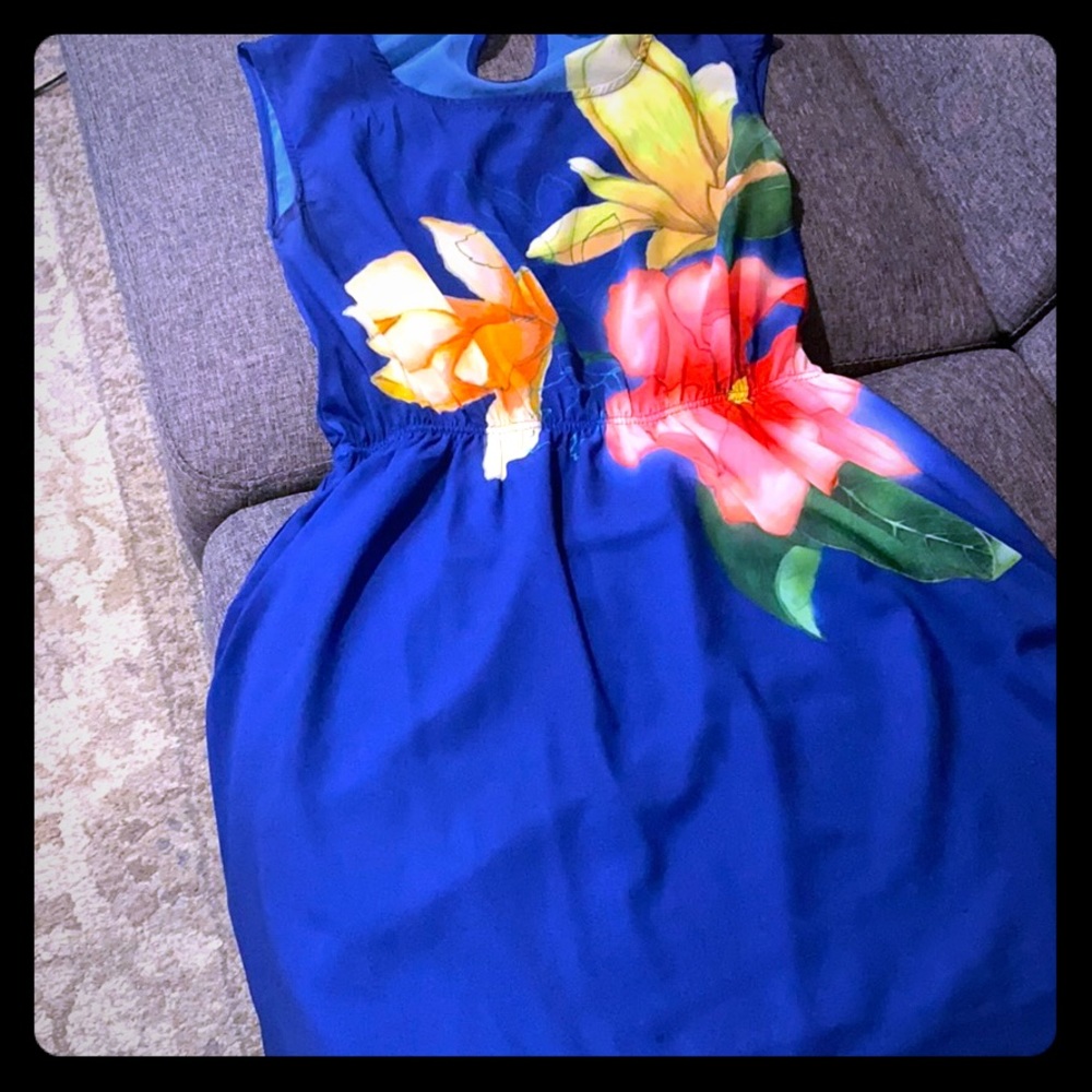 Pink Martini Blue floral party dress